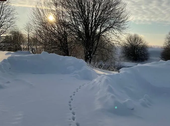 Karukella Puhkemaja Dom wakacyjny *