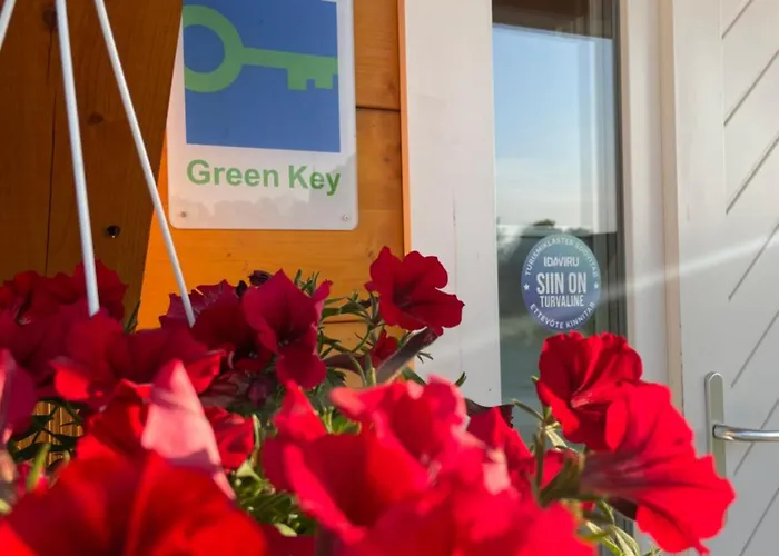 Karukella Puhkemaja Lyuganuse